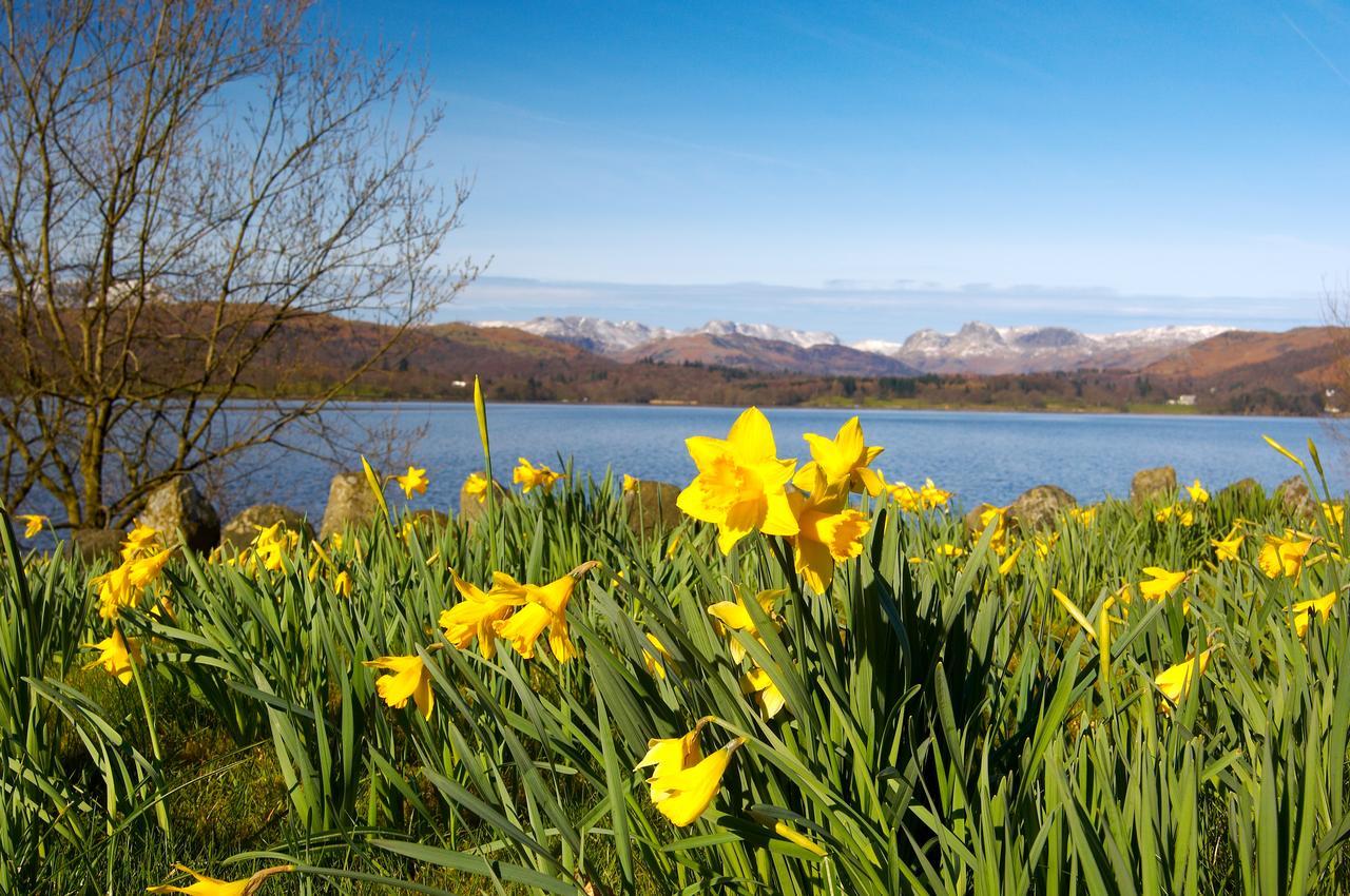 Ivythwaite Lodge Guest House Windermere Εξωτερικό φωτογραφία