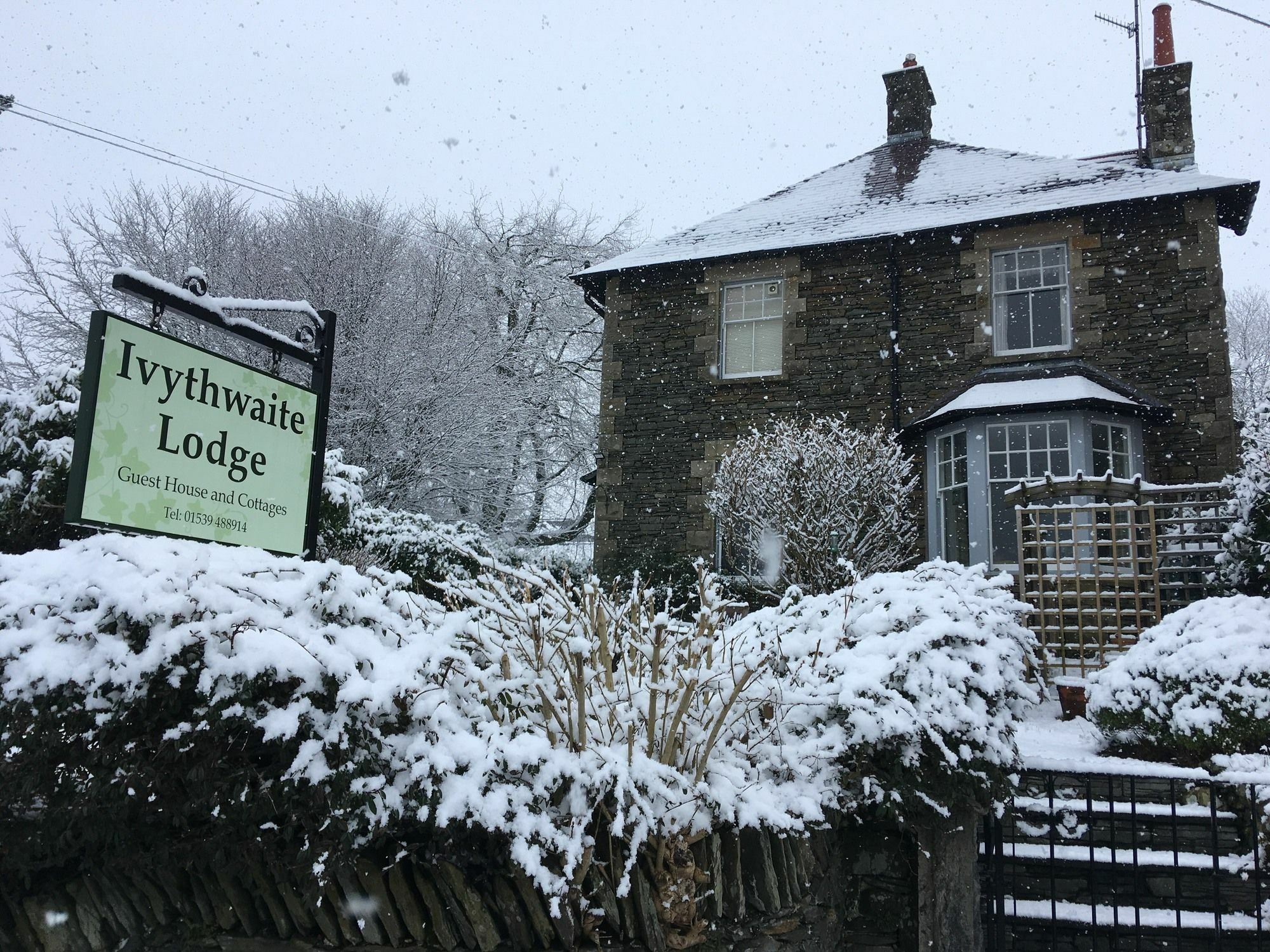Ivythwaite Lodge Guest House Windermere Εξωτερικό φωτογραφία
